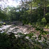 Review photo of Viles Branch Creek Primitive Campsite on the Eagle Rock Loop by Troy W., May 30, 2019