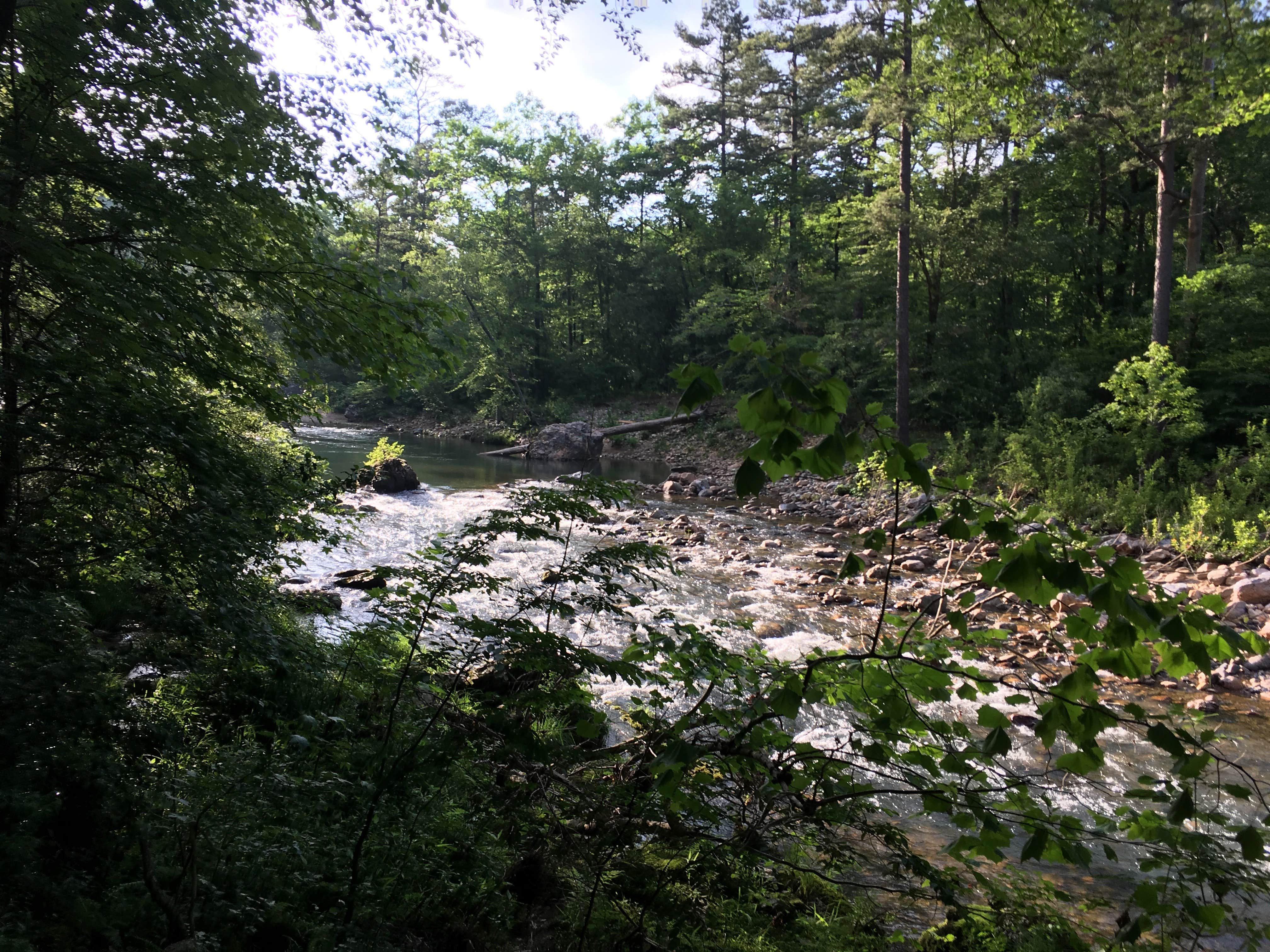 Camper submitted image from Viles Branch Creek Primitive Campsite on the Eagle Rock Loop - 4