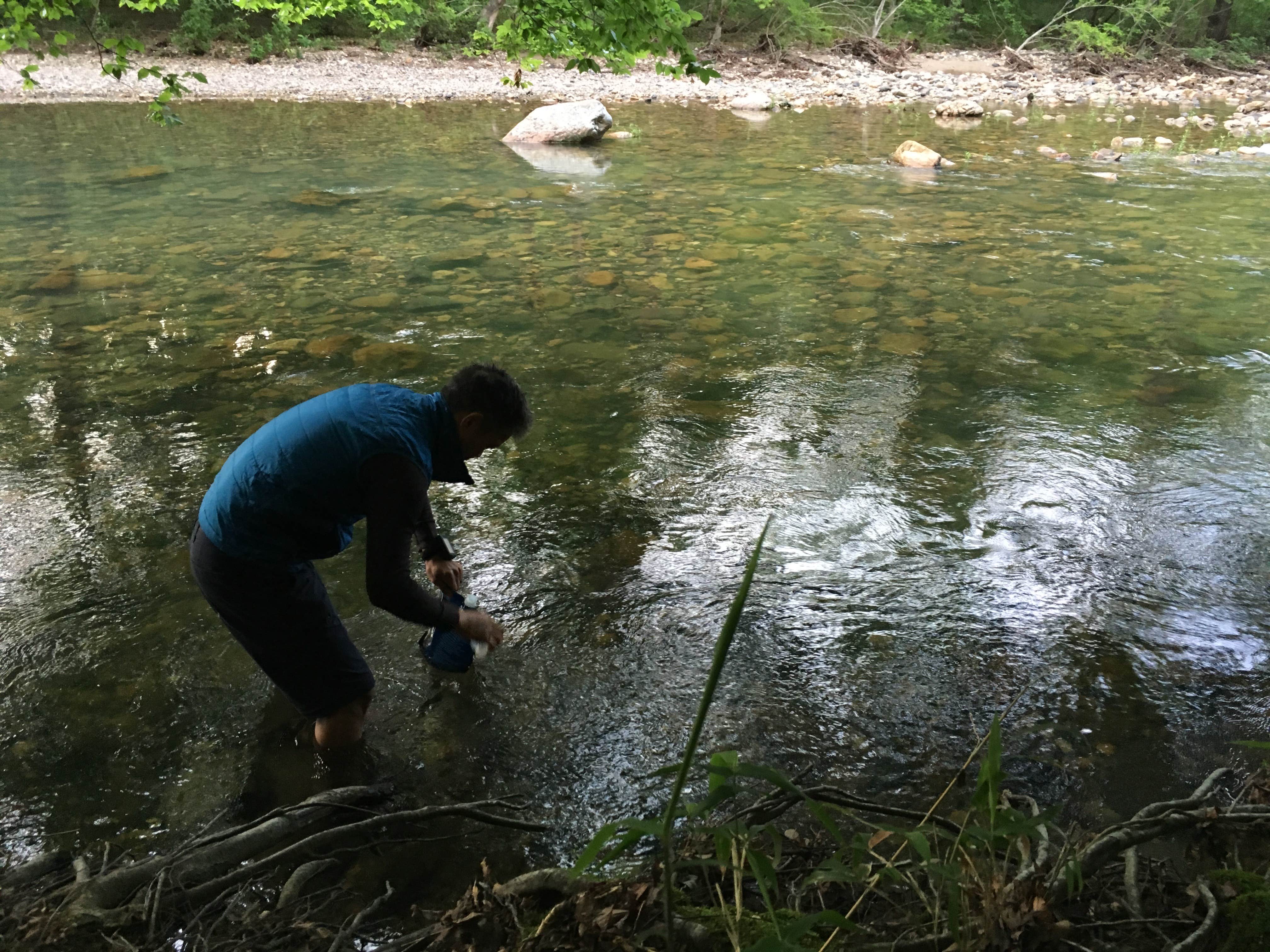 Camper submitted image from Viles Branch Creek Primitive Campsite on the Eagle Rock Loop - 2