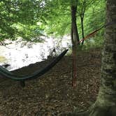 Review photo of Viles Branch Creek Primitive Campsite on the Eagle Rock Loop by Troy W., May 30, 2019