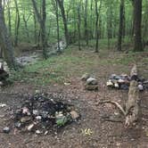 Review photo of Viles Branch Creek Primitive Campsite on the Eagle Rock Loop by Troy W., May 30, 2019