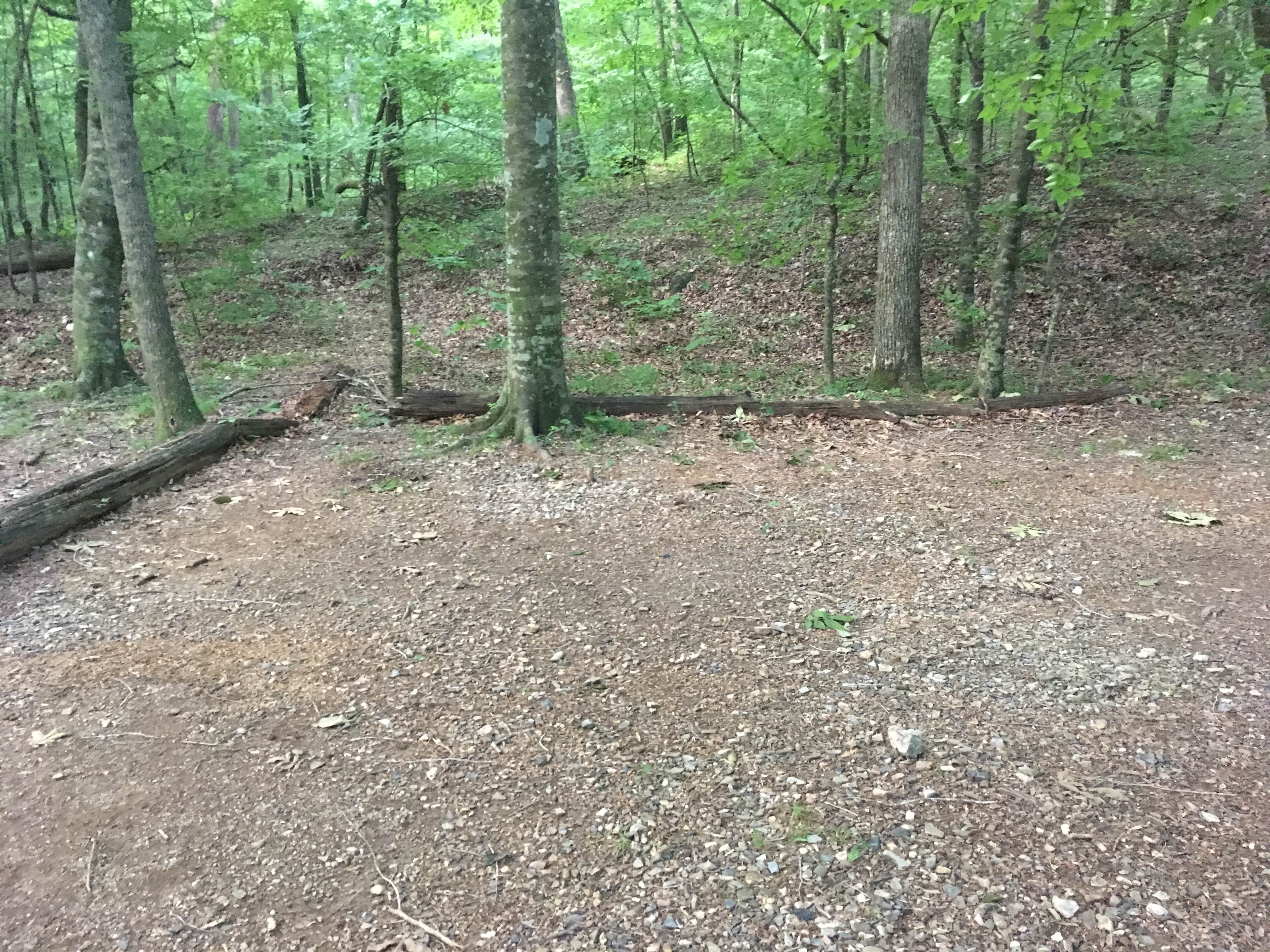 Camper-submitted photo at Viles Branch Creek Primitive Campsite on the Eagle Rock Loop near Vandervoort, AR
