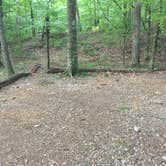 Review photo of Viles Branch Creek Primitive Campsite on the Eagle Rock Loop by Troy W., May 30, 2019