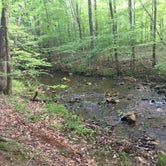 Review photo of Viles Branch Creek Primitive Campsite on the Eagle Rock Loop by Troy W., May 30, 2019