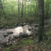 Review photo of Viles Branch Creek Primitive Campsite on the Eagle Rock Loop by Troy W., May 30, 2019