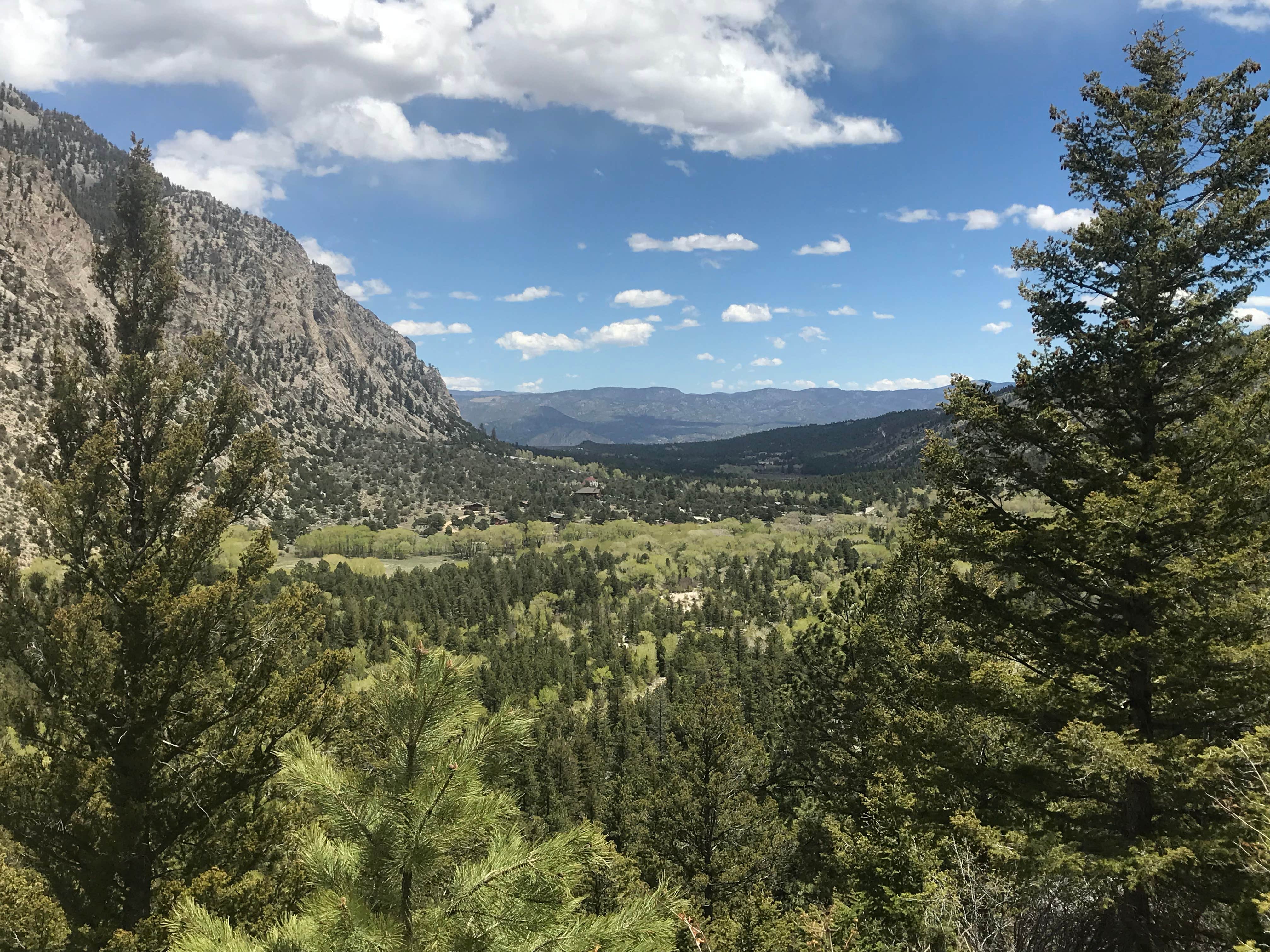 Camper submitted image from Mount Princeton - 2