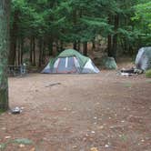 Review photo of Bear Brook State Park Campground by Ellen C., May 30, 2019