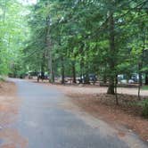 Review photo of Bear Brook State Park Campground by Ellen C., May 30, 2019