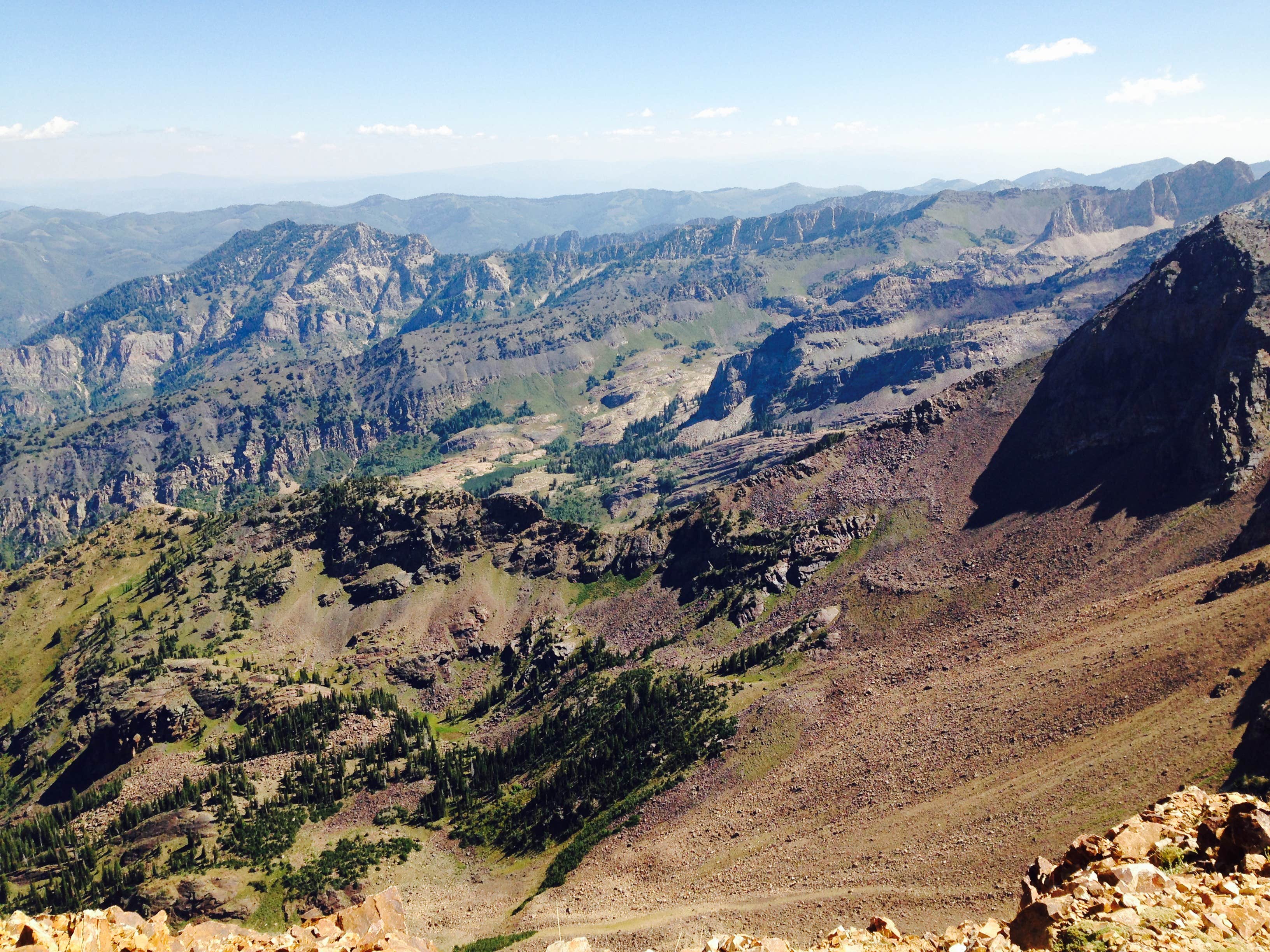 Camper submitted image from Twin Peaks Wilderness Area - Dispersed - 2