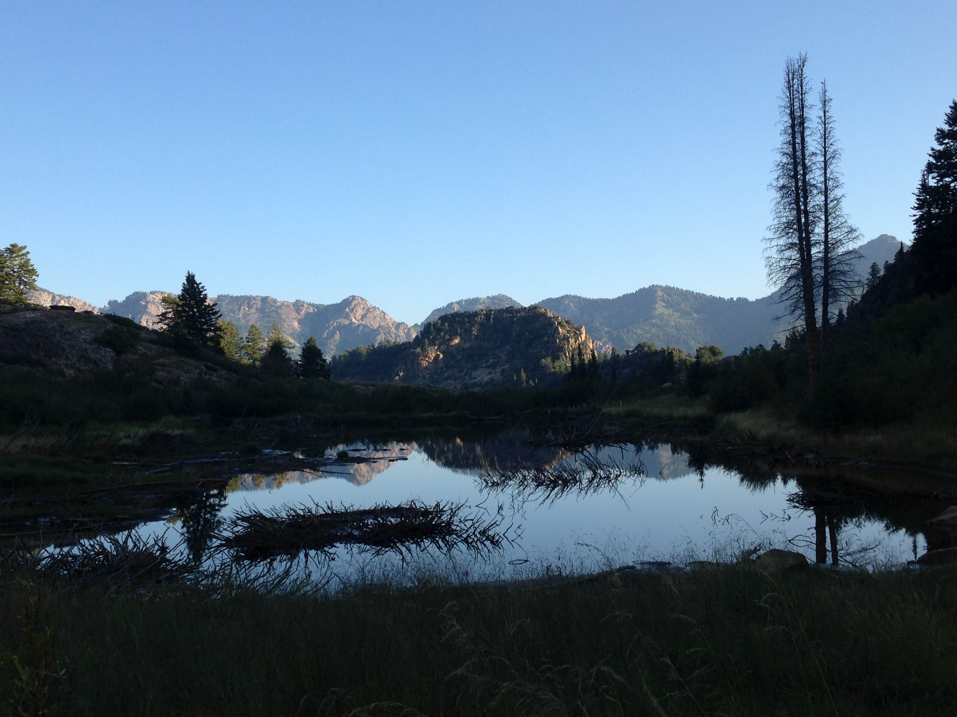 Alan B.'s photo of a dispersed camping area at Twin Peaks Wilderness Area - Dispersed near Murray, UT