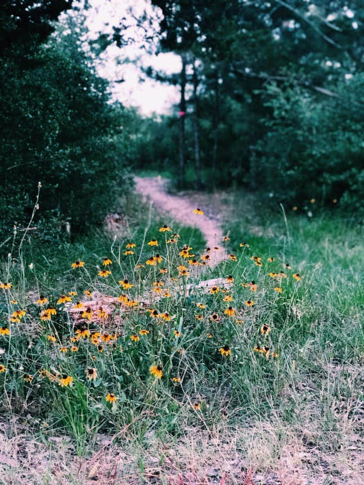 Camper-submitted photo at Bluff Creek Ranch near Smithville, TX