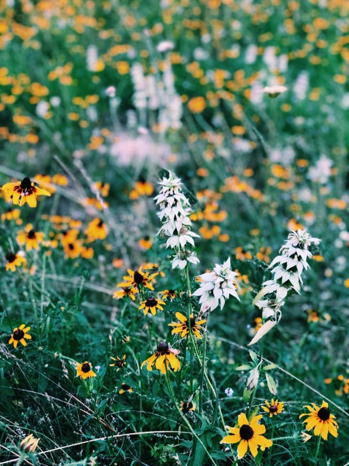 Camper-submitted photo at Bluff Creek Ranch near Smithville, TX