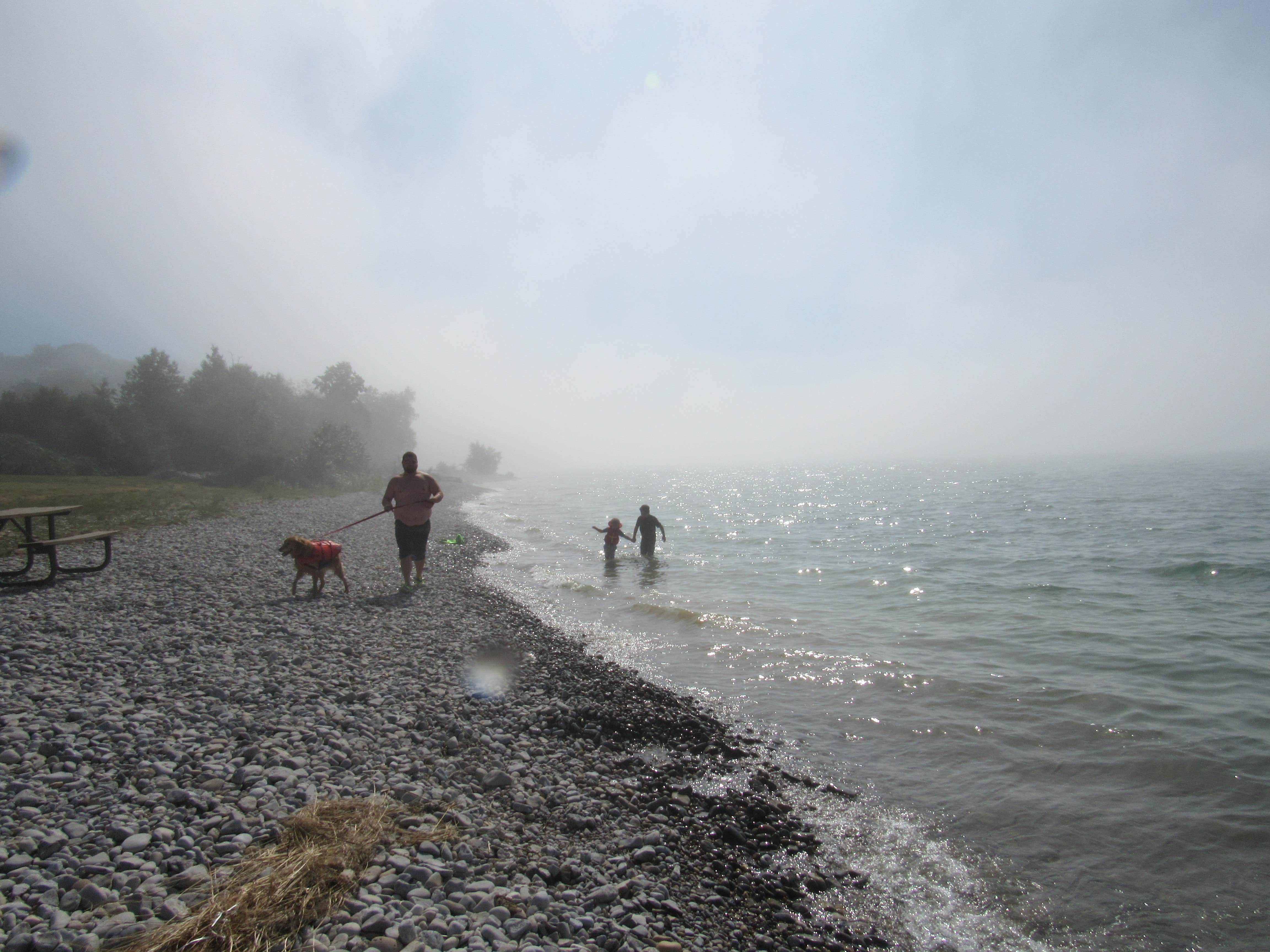 Jennifer G.'s photo of camping with pets at Magnus Park Campground near Elmira, MI