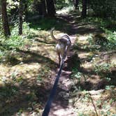 Review photo of Sacandaga Campground by Carie L., August 31, 2016
