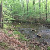 Review photo of Straight Creek Campsite on the Eagle Rock Loop by Troy W., May 30, 2019