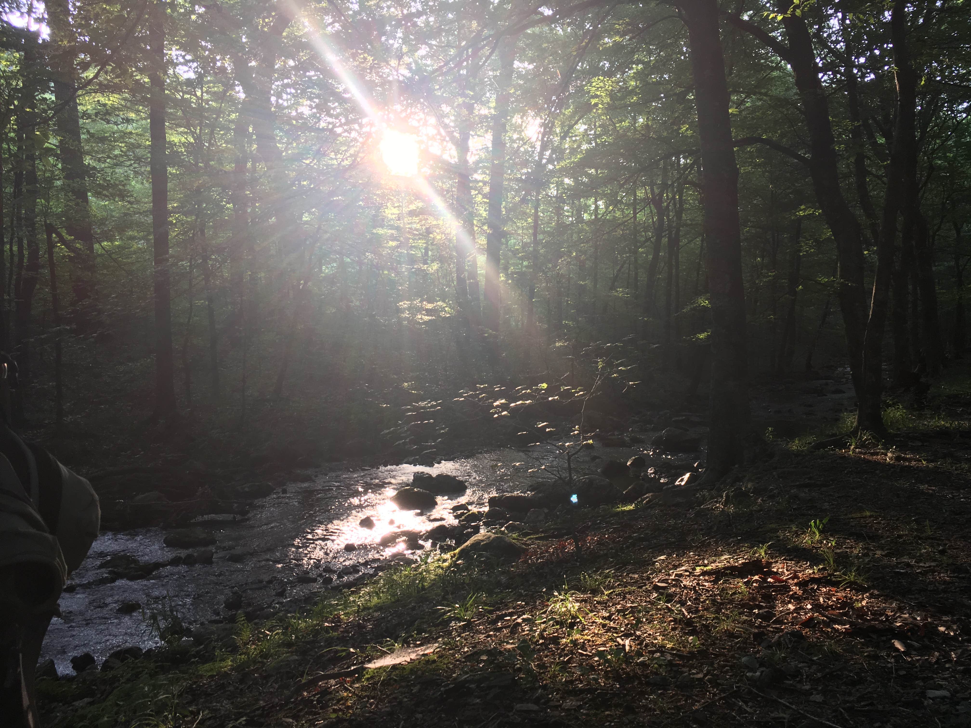 Camper-submitted photo at Straight Creek Campsite on the Eagle Rock Loop near Vandervoort, AR