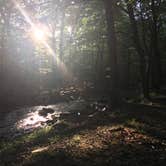 Review photo of Straight Creek Campsite on the Eagle Rock Loop by Troy W., May 30, 2019