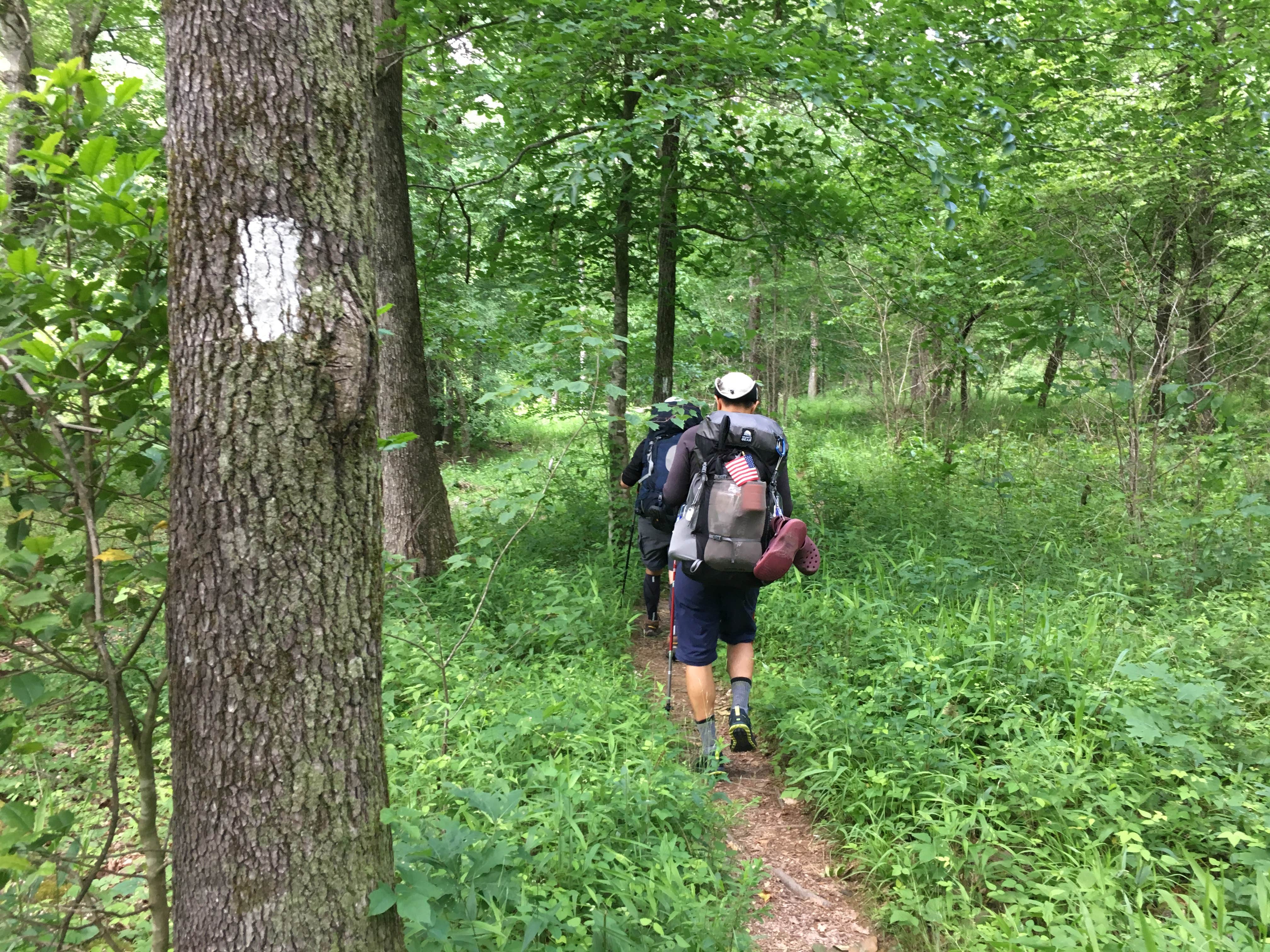 Camper-submitted photo at Straight Creek Campsite on the Eagle Rock Loop near Vandervoort, AR