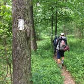 Review photo of Straight Creek Campsite on the Eagle Rock Loop by Troy W., May 30, 2019