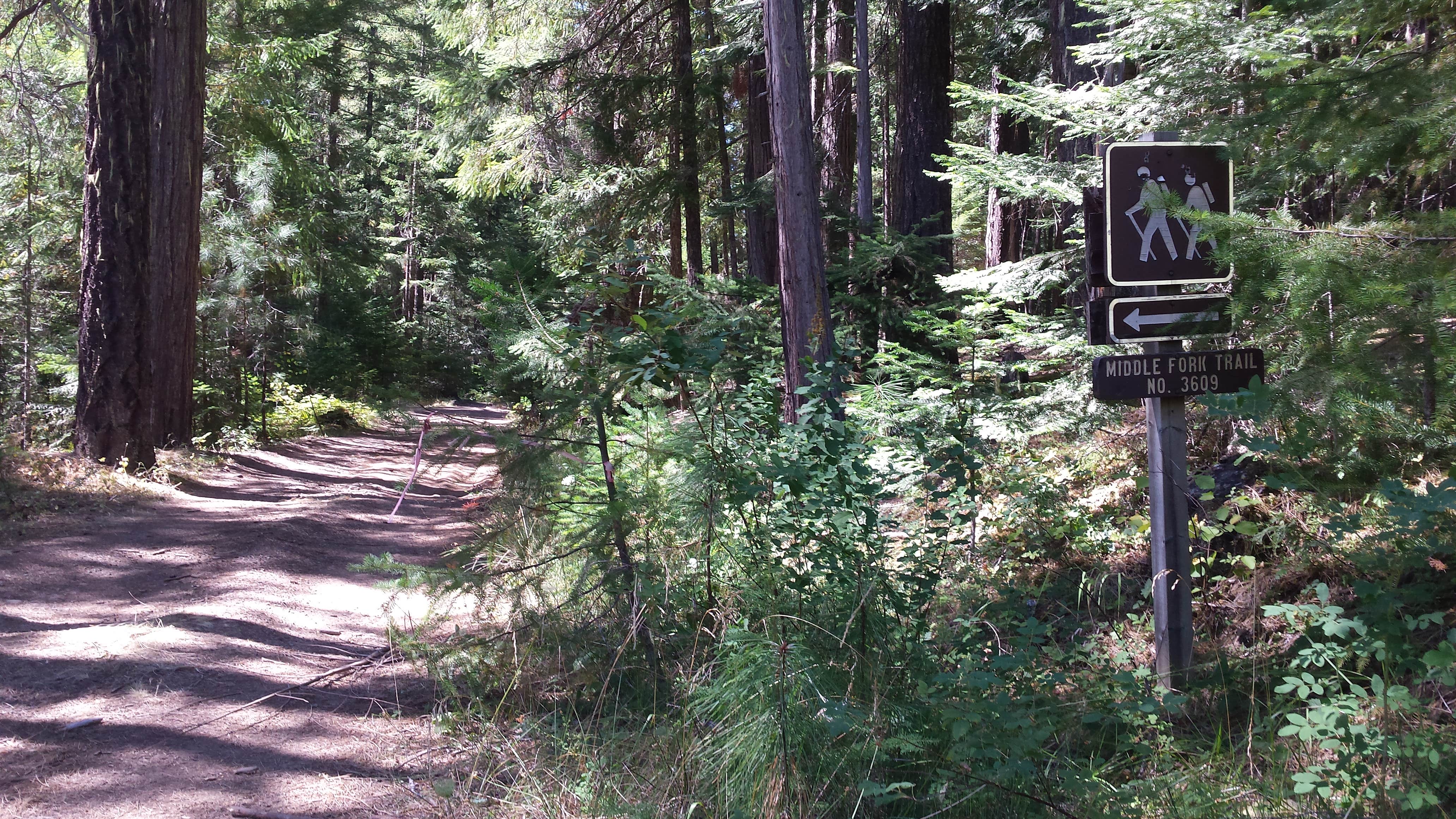 Camper submitted image from Sacandaga Campground - 5