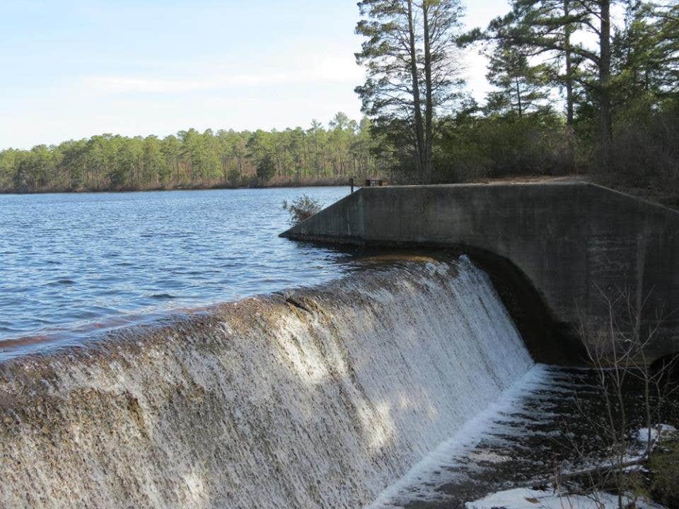 Camper-submitted photo at Bass River State Forest near Lacey, NJ