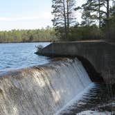 Review photo of Bass River State Forest by Ellen C., May 29, 2019