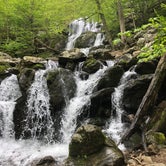 Review photo of Big Meadows Campground — Shenandoah National Park by Erin S., May 30, 2019