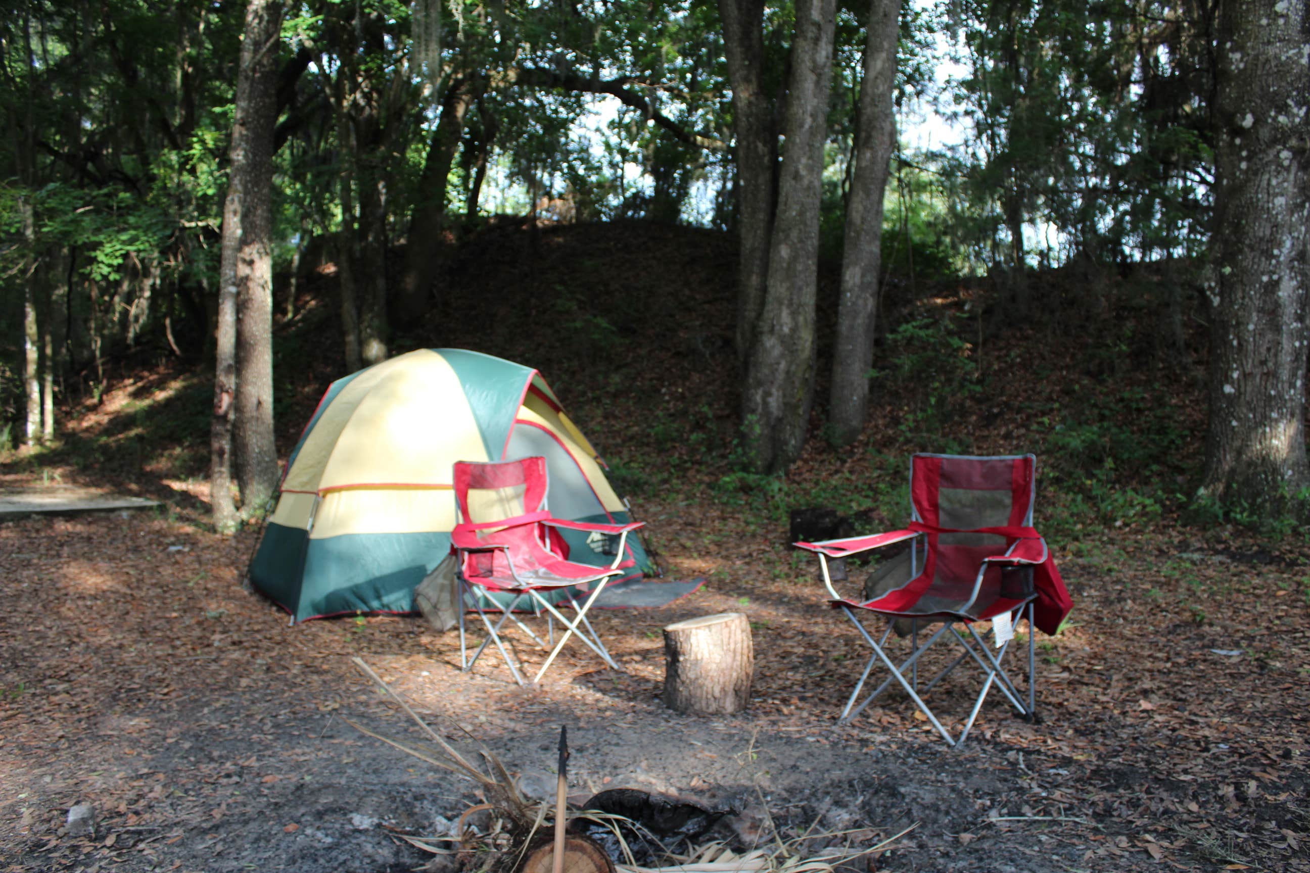 Michele J.'s photo at Devil's Den Spring near Reddick, FL