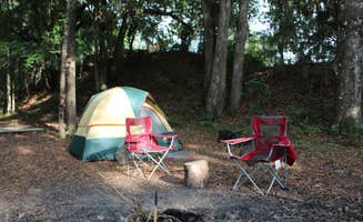 Michele J.'s photo at Devil's Den Spring near Archer, FL