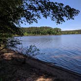 Review photo of Rolling View — Falls Lake State Recreation Area by Bill S., May 31, 2019
