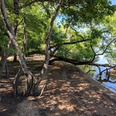 Review photo of Rolling View — Falls Lake State Recreation Area by Bill S., May 31, 2019