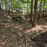 Review photo of Rolling View — Falls Lake State Recreation Area by Bill S., May 31, 2019