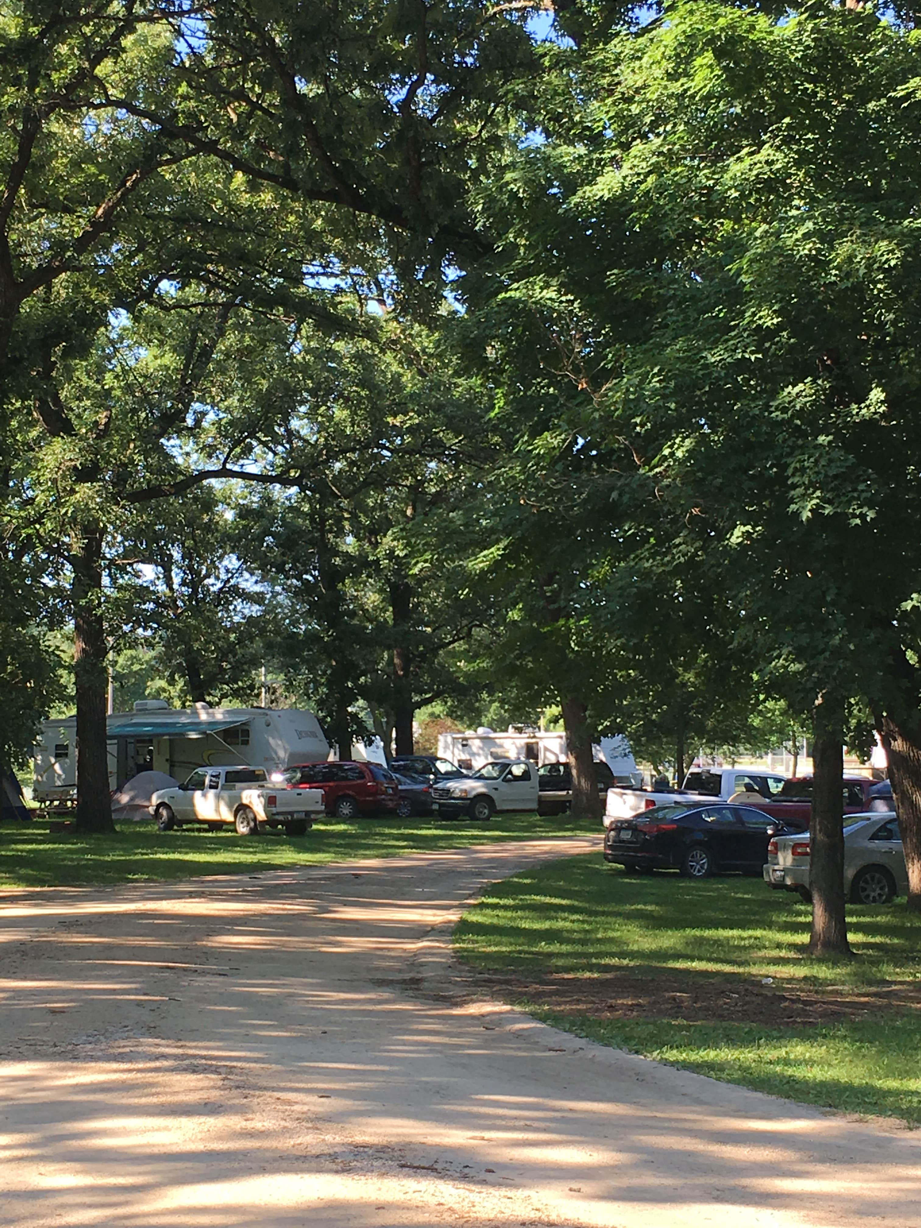 Camper submitted image from Elkader City Park - 4