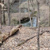 Review photo of Kings Mountain — Kings Mountain State Park by Bill S., May 31, 2019