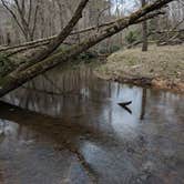 Review photo of Kings Mountain — Kings Mountain State Park by Bill S., May 31, 2019