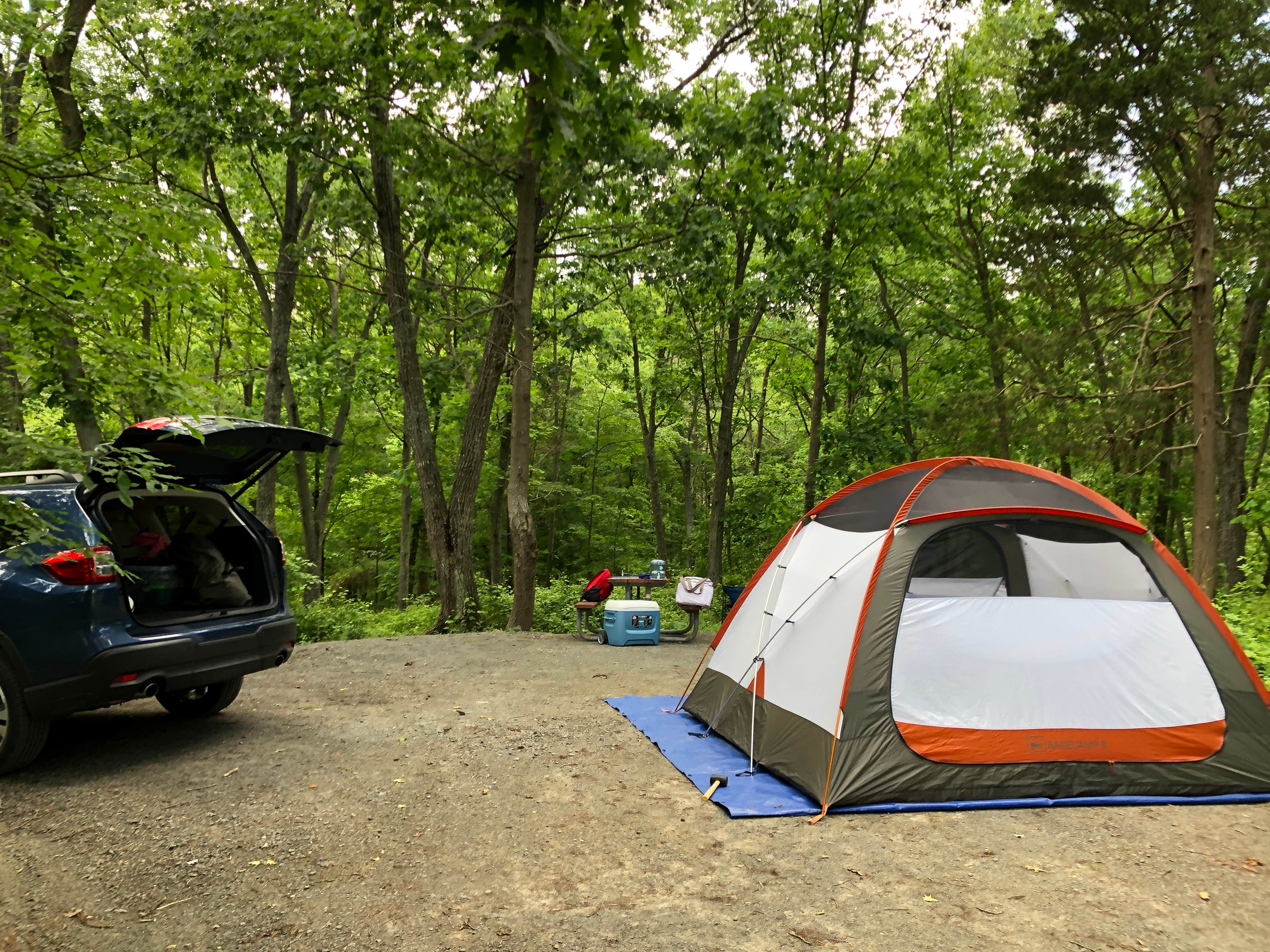 Camper submitted image from Lake Fairfax Campground - 5