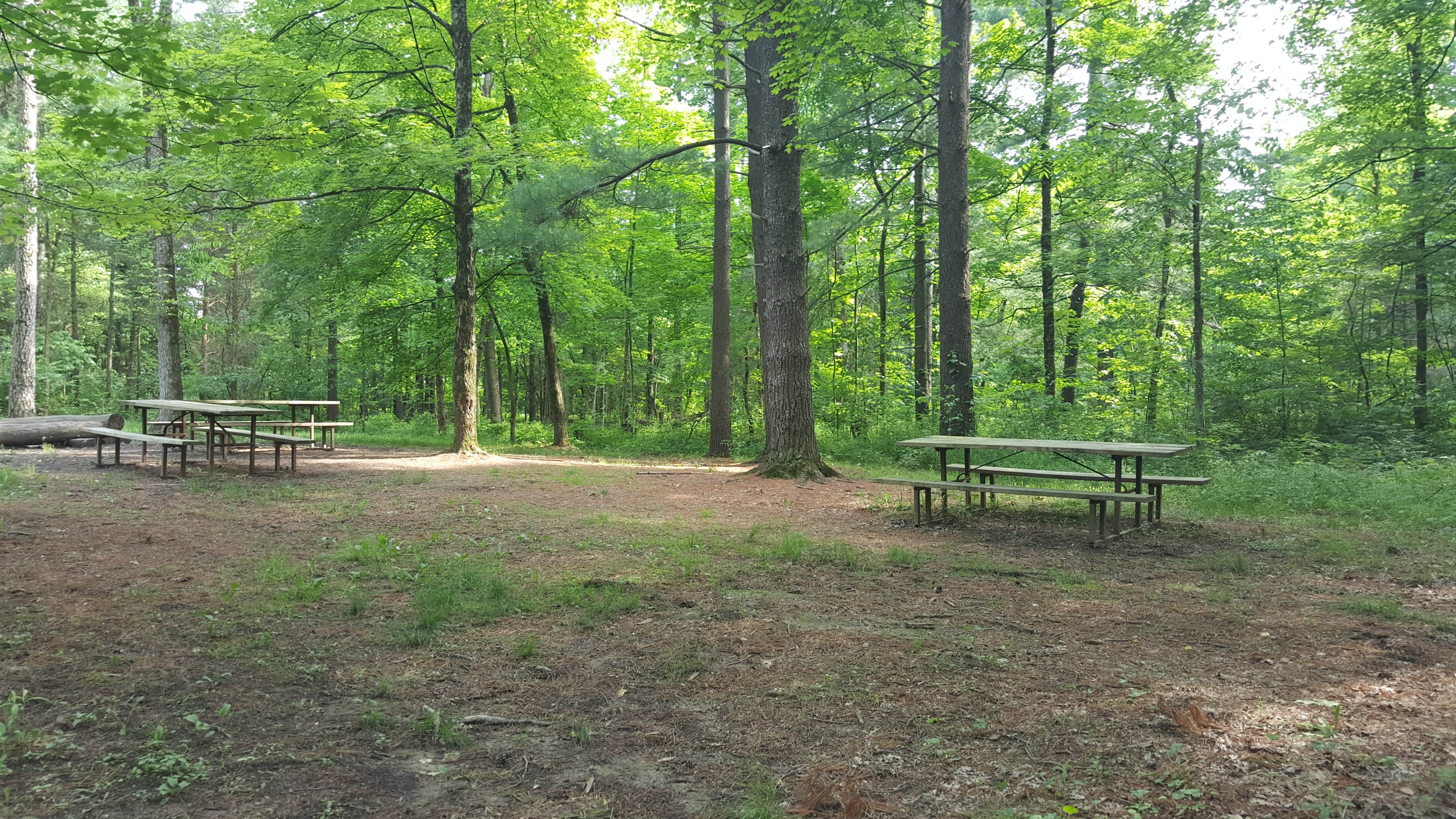 Camper submitted image from Dayton Metro Parks (Five Rivers Metroparks) - 3