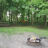 Review photo of Dayton Metro Parks (Five Rivers Metroparks) by Kenpocentaur K., May 31, 2019