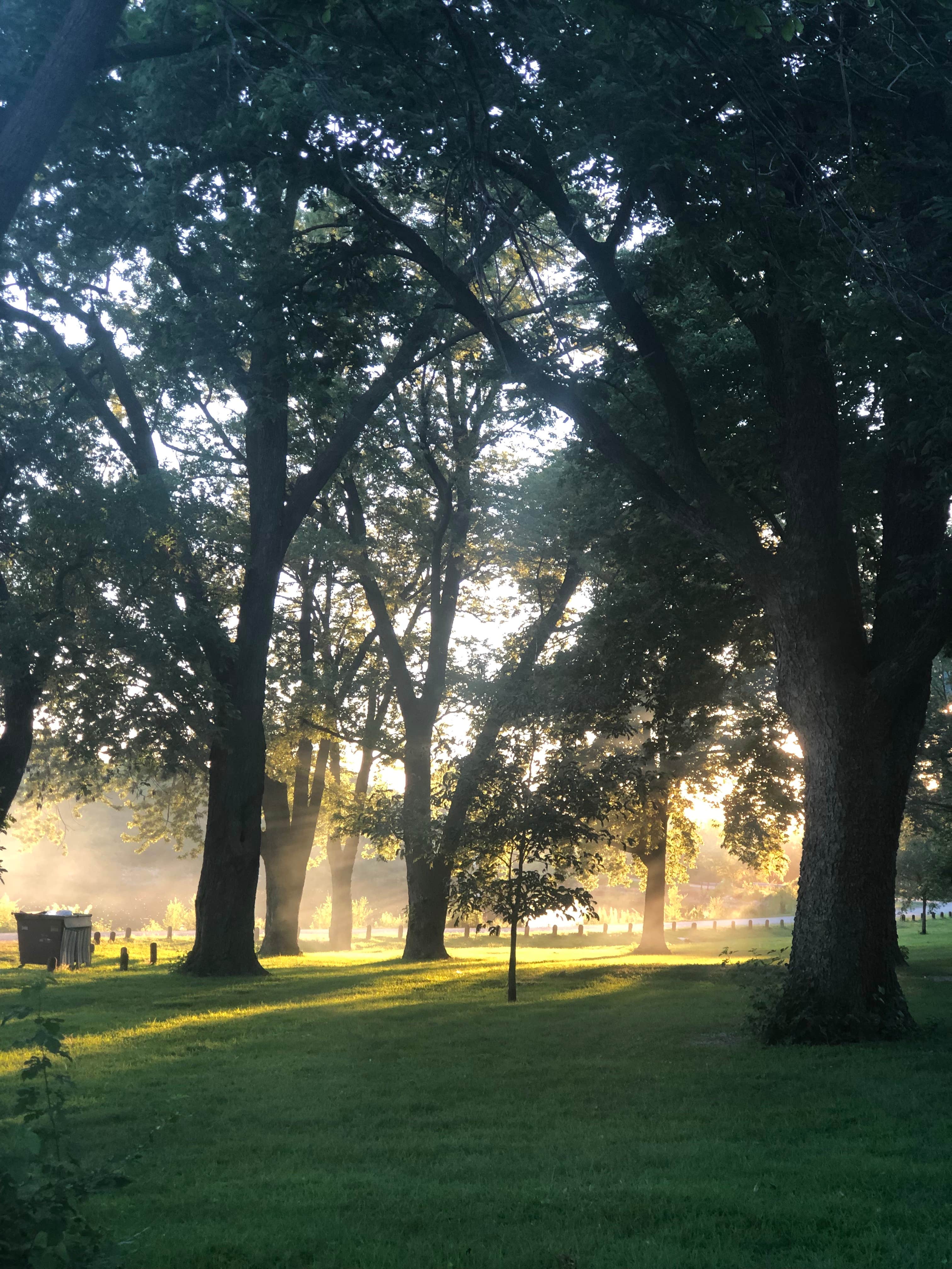 Camper submitted image from Memphis Lake State Rec Area - 2