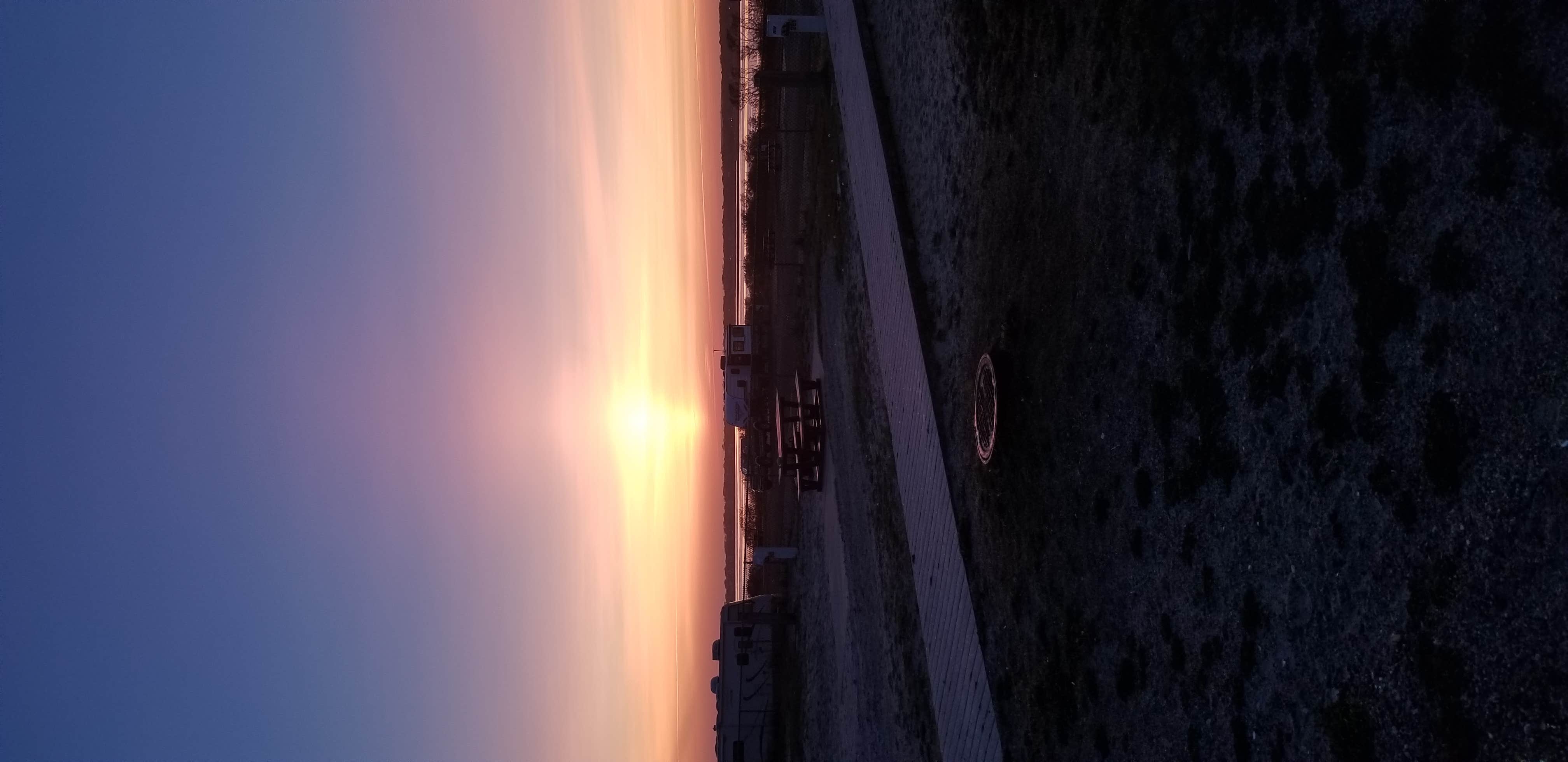 View All