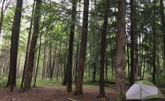 Monika L.'s photo at 17 Little Bottoms near Maryville, TN