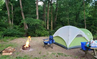 Chris W.'s photo at Big Sycamore Family Campground near Carroll, OH