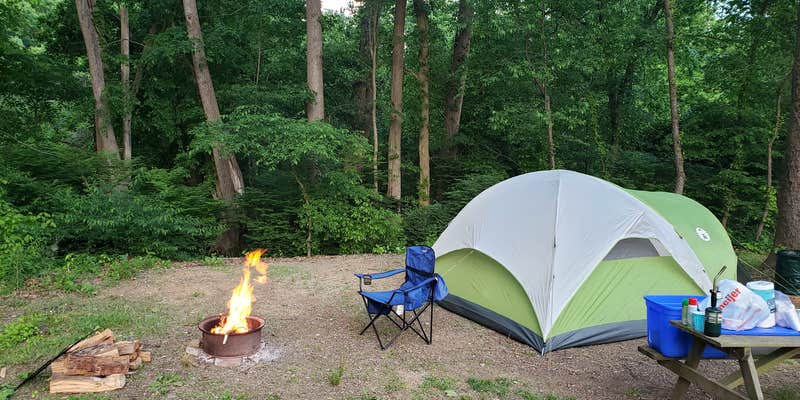 Camper submitted image from Big Sycamore Family Campground