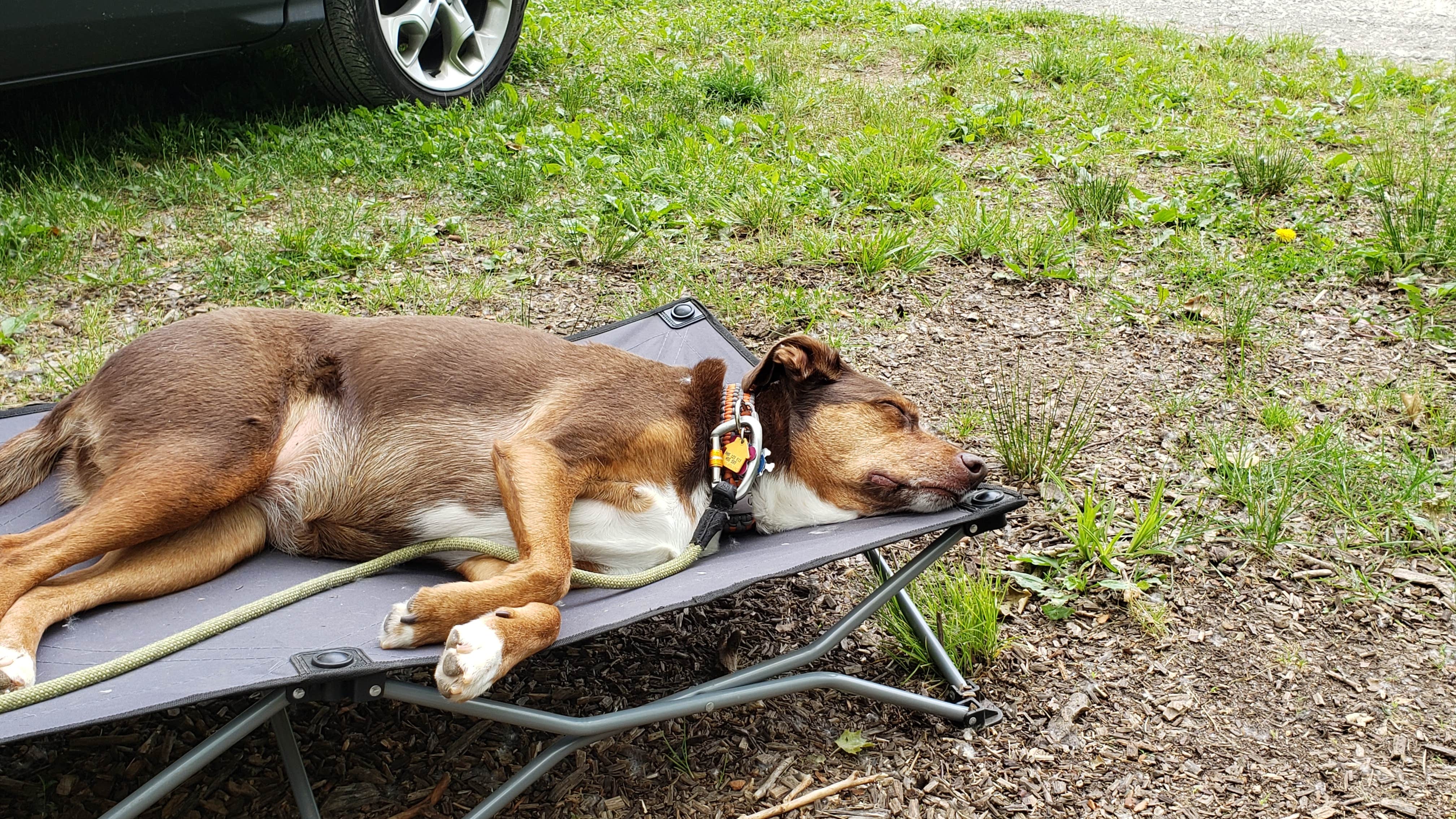Camper submitted image from Big Sycamore Family Campground - 3