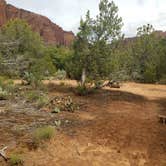 Review photo of Water Canyon Cliffside Cabin L and L by Alan B., May 31, 2019