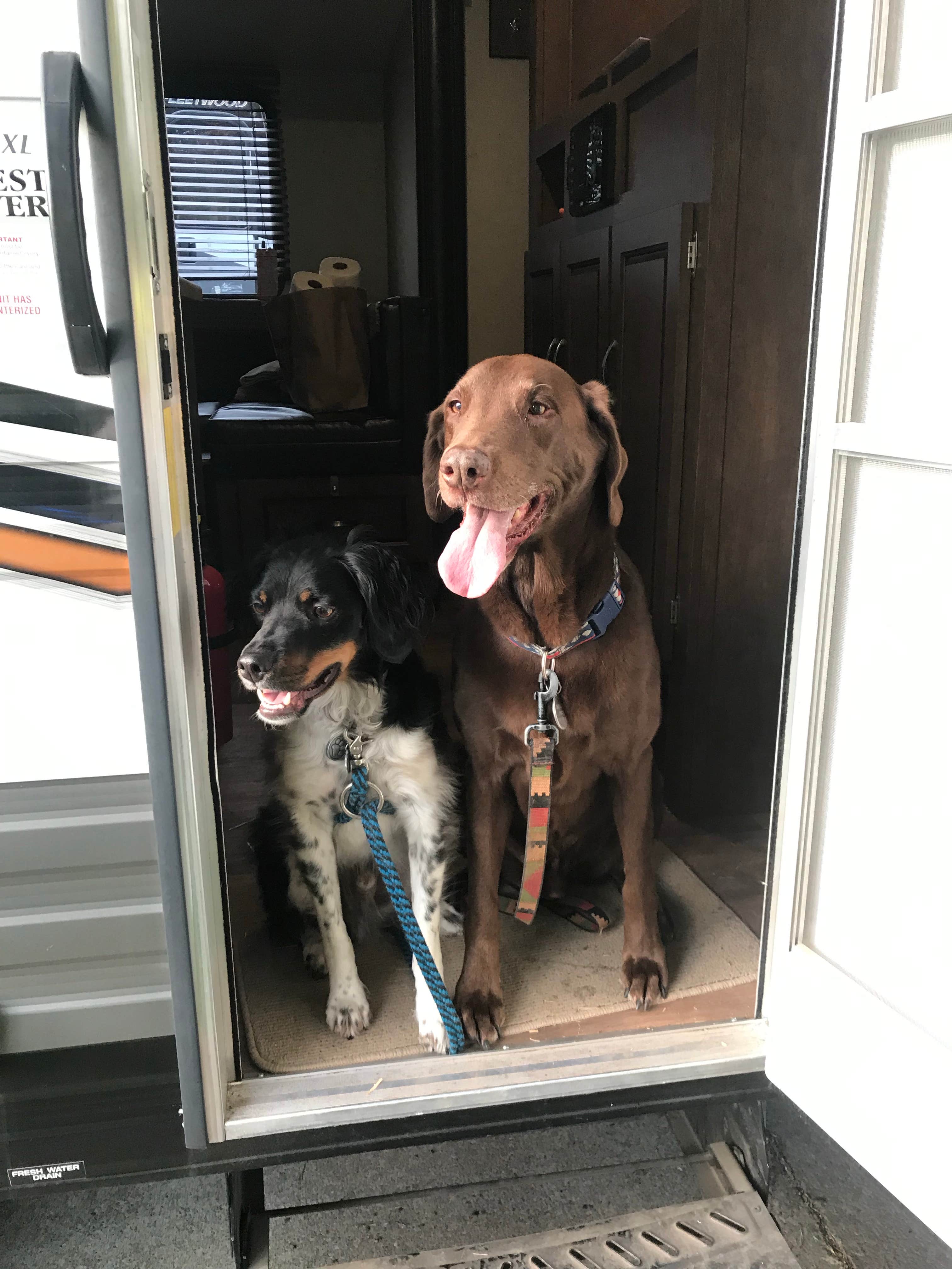 Camper-submitted photo at Sun Outdoors Portland South near Donald, OR