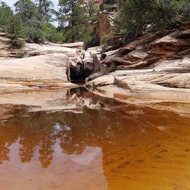 Little waterfall and pool on the way up to Mountain of the Sun in Zion NP
