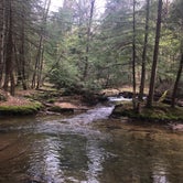 Review photo of Minister Creek Campground by Monika L., May 31, 2019
