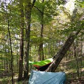 Review photo of Dayton Metro Parks (Five Rivers Metroparks) by Kenpocentaur K., May 31, 2019