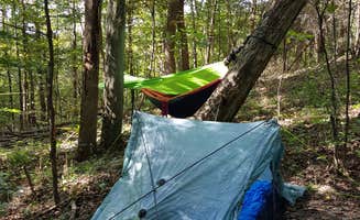 Kenpocentaur K.'s photo at Dayton Metro Parks (Five Rivers Metroparks) near Oxford, OH